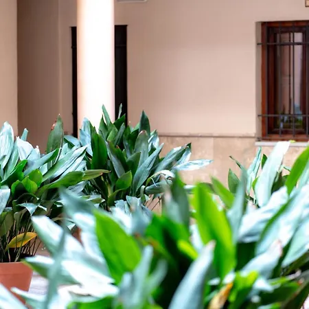 Apartamento Solares Apartamento *